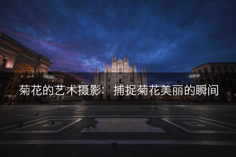 菊花的艺术摄影：捕捉菊花美丽的瞬间(图1)