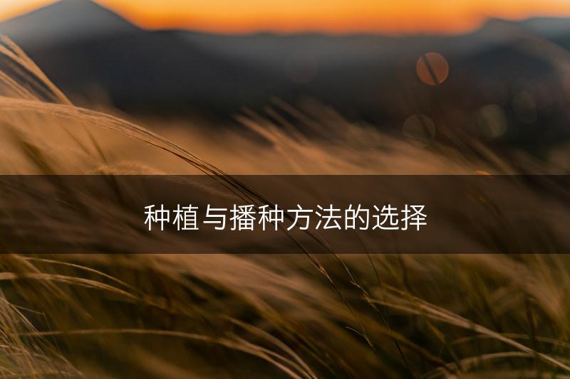 种植与播种方法的选择(图1)