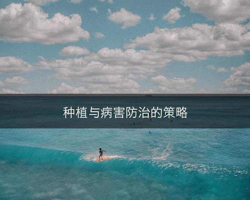 种植与病害防治的策略(图1)