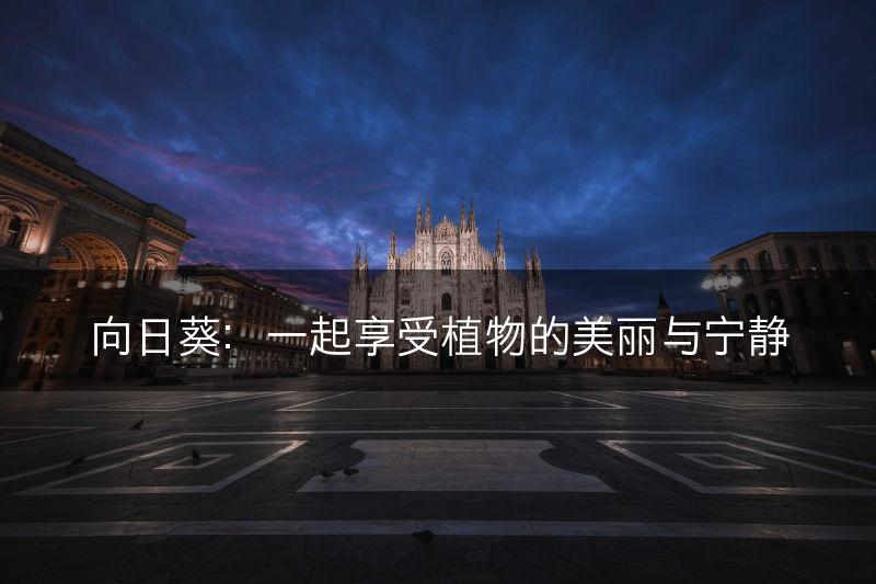 向日葵:一起享受植物的美丽与宁静(图1) 向日葵:一起享受植物的美丽与宁静(图1)