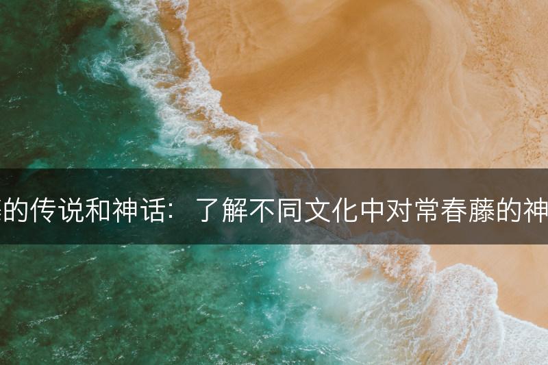 常春藤的传说和神话：了解不同文化中对常春藤的神秘故事(图1)