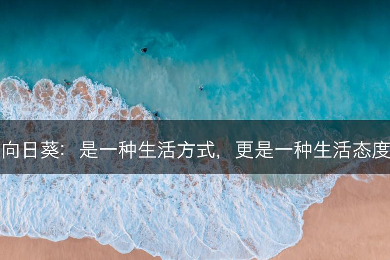 向日葵:是一种生活方式,更是一种生活态度(图1) 向日葵:是一种生活方式,更是一种生活态度(图1)