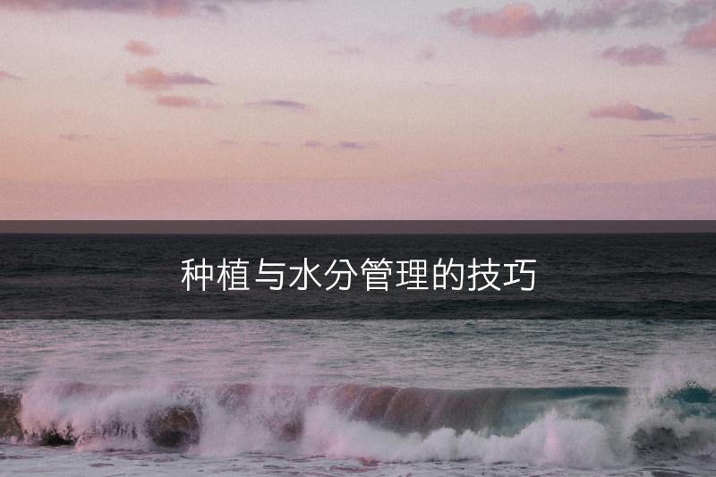 种植与水分管理的技巧(图1)