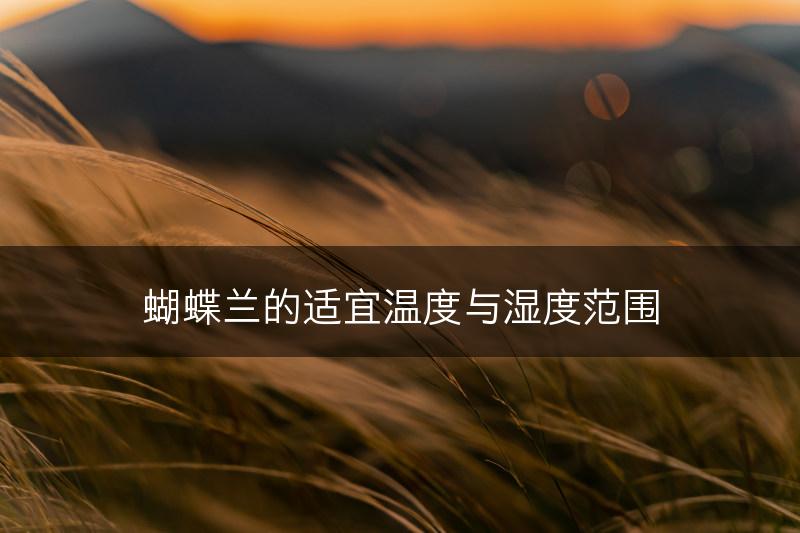 蝴蝶兰的适宜温度与湿度范围(图1)