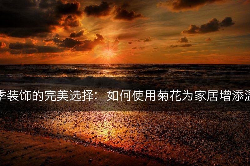 秋季装饰的完美选择：如何使用菊花为家居增添温暖(图1)
