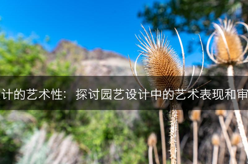 园艺设计的艺术性：探讨园艺设计中的艺术表现和审美价值(图1)