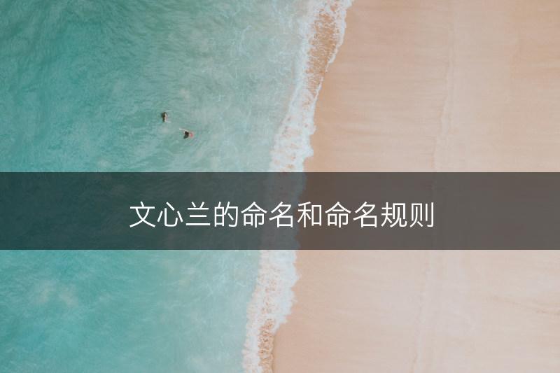 文心兰的命名和命名规则(图1)