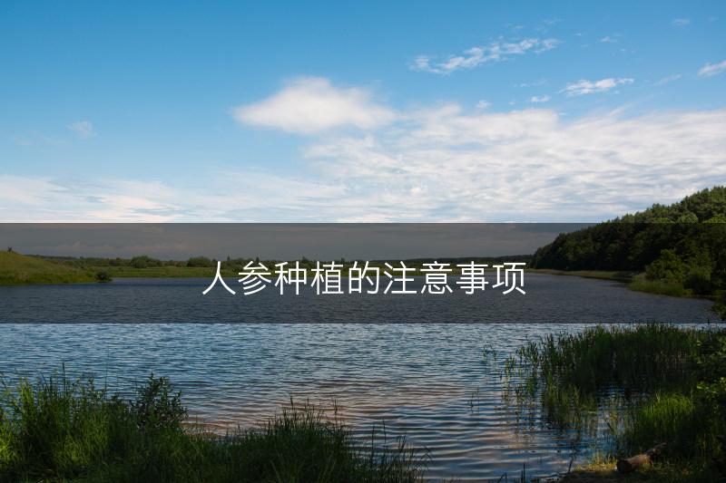 人参种植的注意事项(图1)