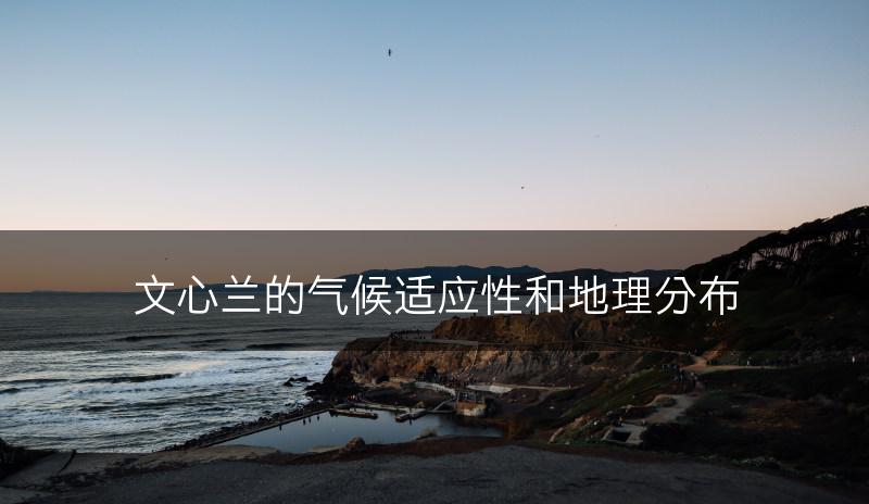 文心兰的气候适应性和地理分布(图1)