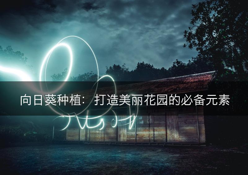 向日葵种植:打造美丽花园的必备元素(图1) 向日葵种植:打造美丽花园的必备元素(图1)