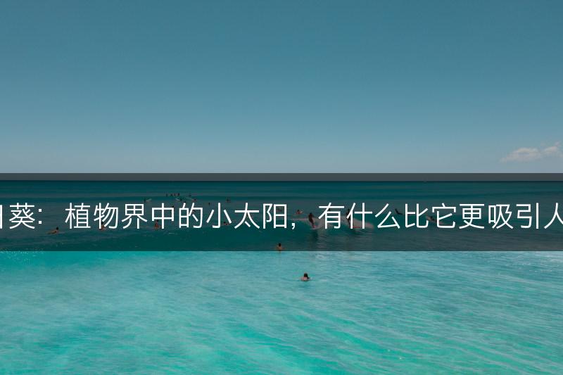 向日葵:植物界中的小太阳,有什么比它更吸引人呢?(图1) 向日葵:植物界中的小太阳,有什么比它更吸引人呢?(图1)