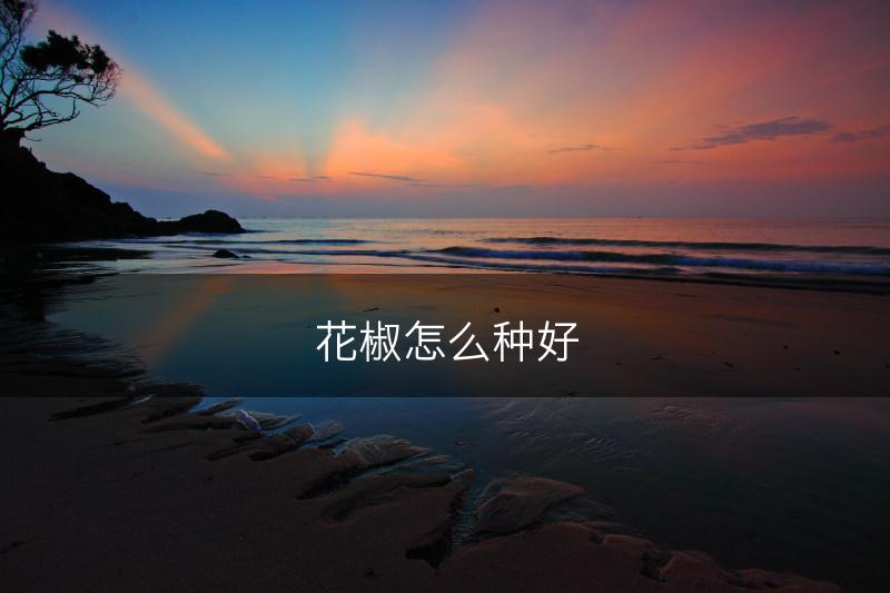 花椒怎么种好(图1)