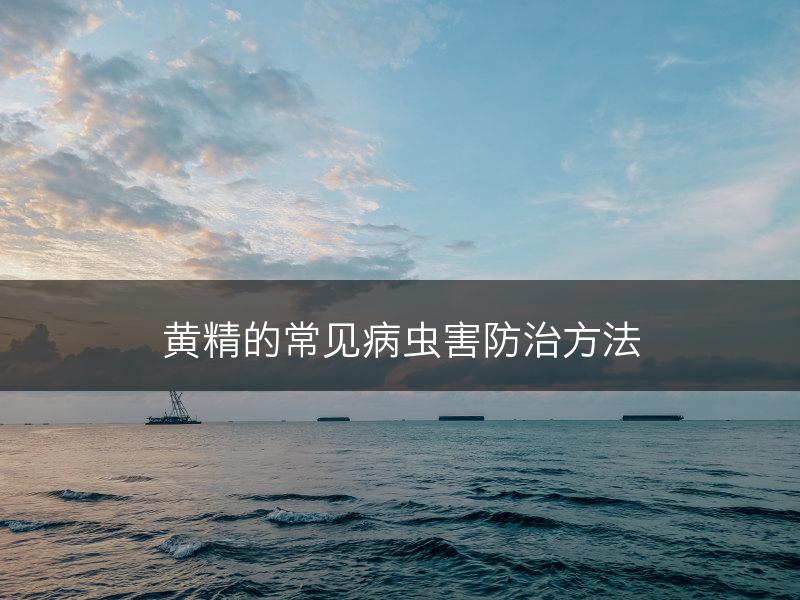 黄精的常见病虫害防治方法(图1)