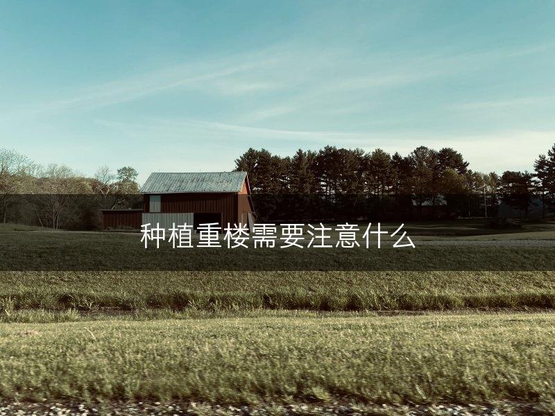 种植重楼需要注意什么(图1)