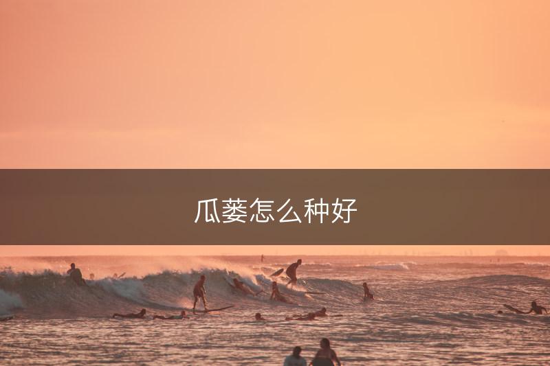瓜蒌怎么种好(图1)