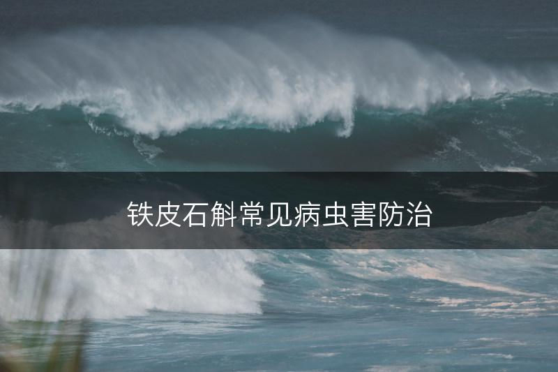 铁皮石斛常见病虫害防治(图1)