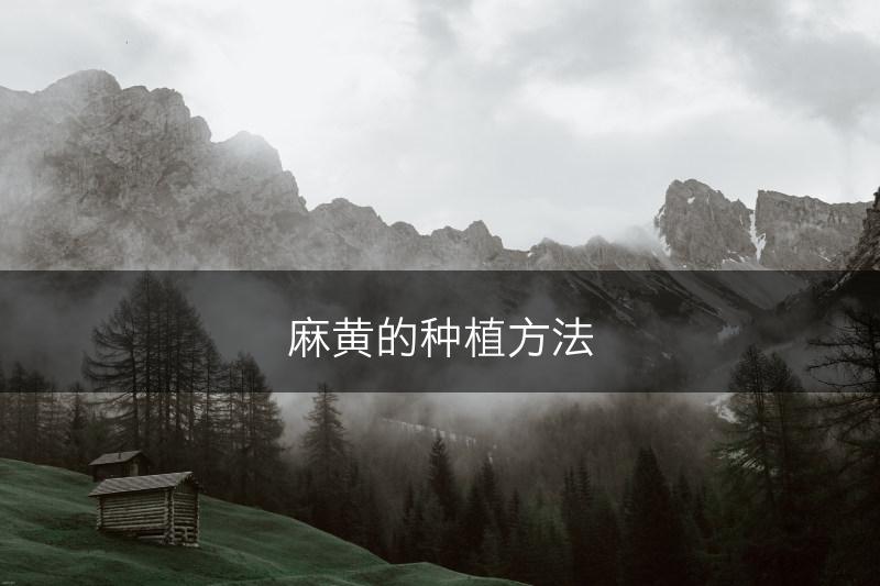 麻黄的种植方法(图1)