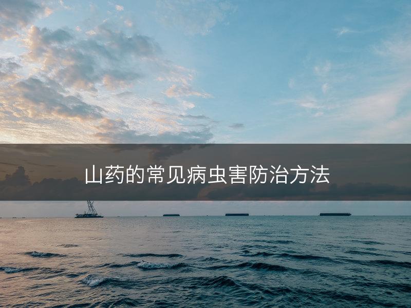 山药的常见病虫害防治方法(图1)