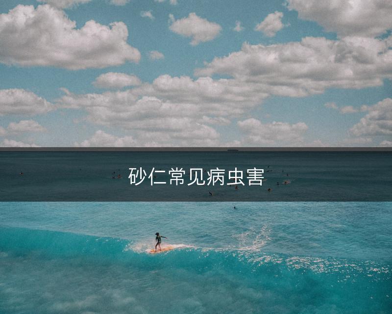 砂仁常见病虫害(图1)