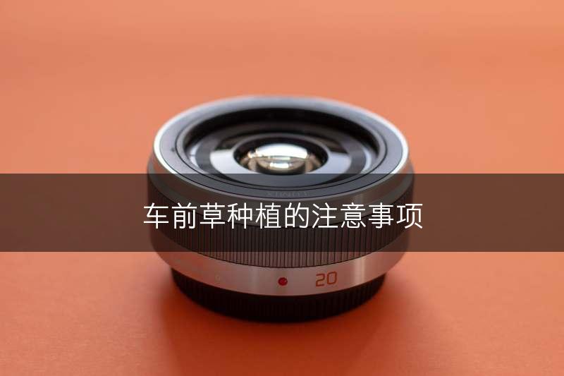 车前草种植的注意事项(图1)