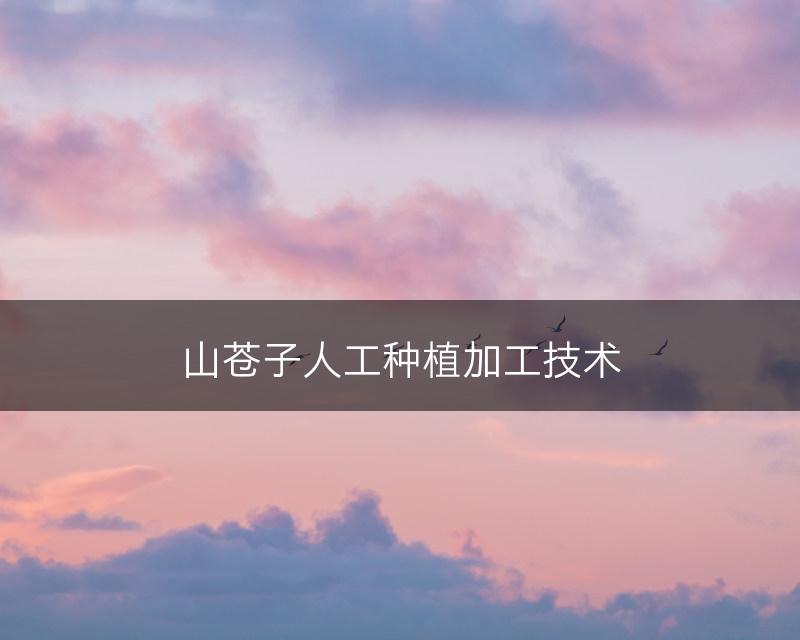 山苍子人工种植加工技术(图1)