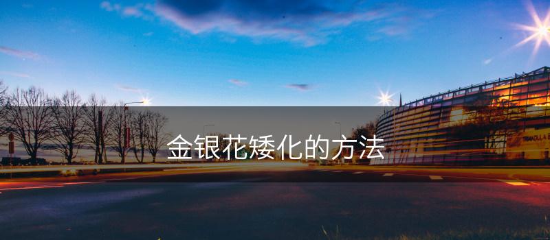 金银花矮化的方法(图1)