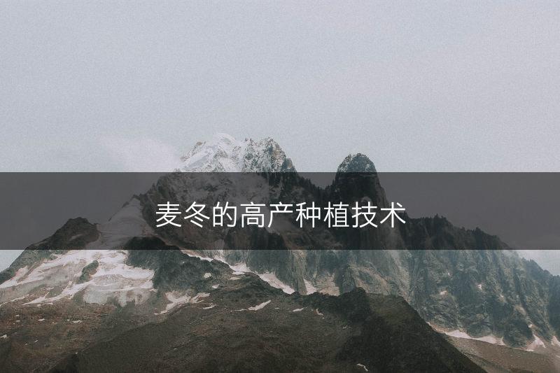 麦冬的高产种植技术(图1)