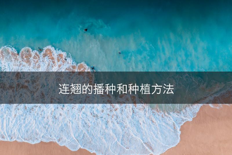 连翘的播种和种植方法(图1)