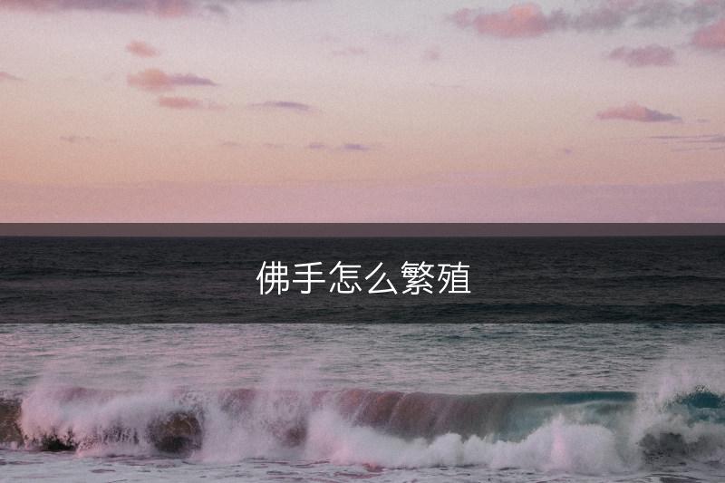 佛手怎么繁殖(图1)