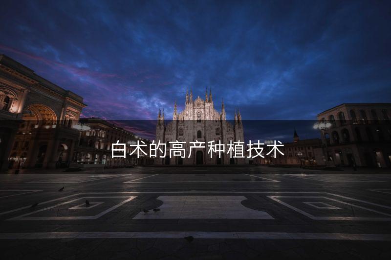 白术的高产种植技术(图1)