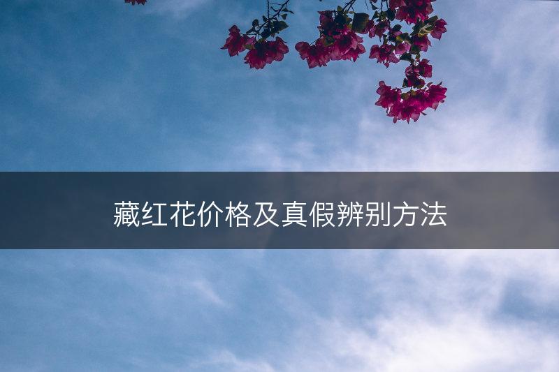 藏红花价格及真假辨别方法(图1)