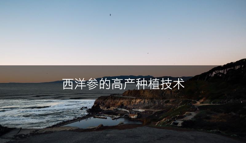 西洋参的高产种植技术(图1)