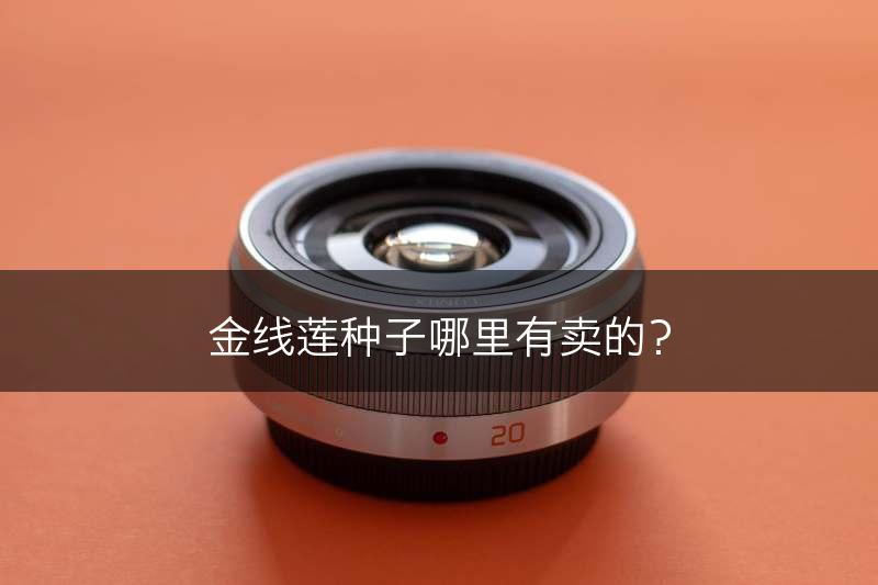 金线莲种子哪里有卖的？(图1)