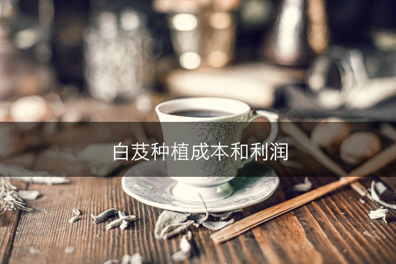 白芨种植成本和利润(图1)