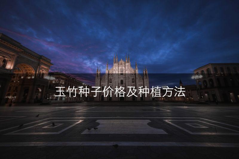 玉竹种子价格及种植方法(图1)