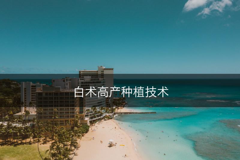 白术高产种植技术(图1)