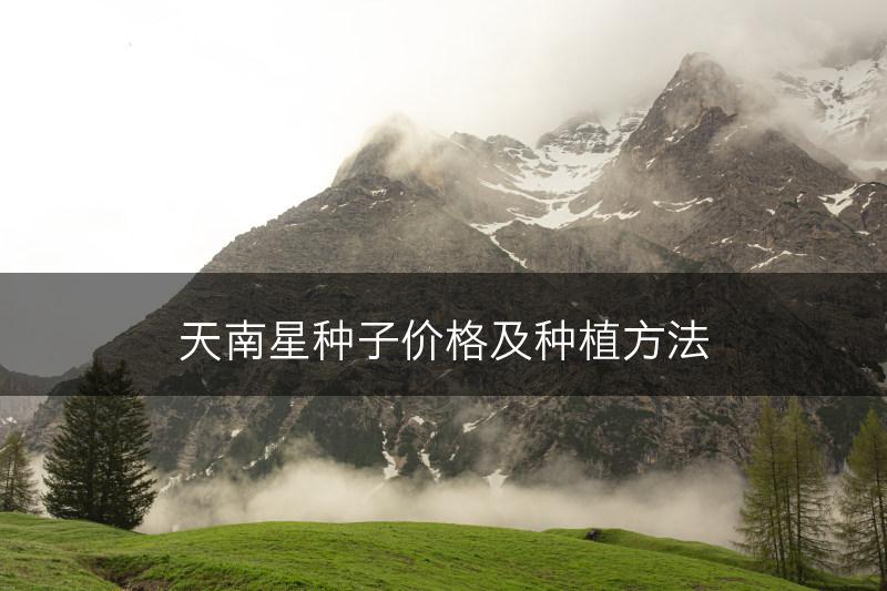 天南星种子价格及种植方法(图1)