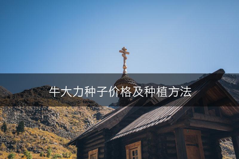 牛大力种子价格及种植方法(图1)