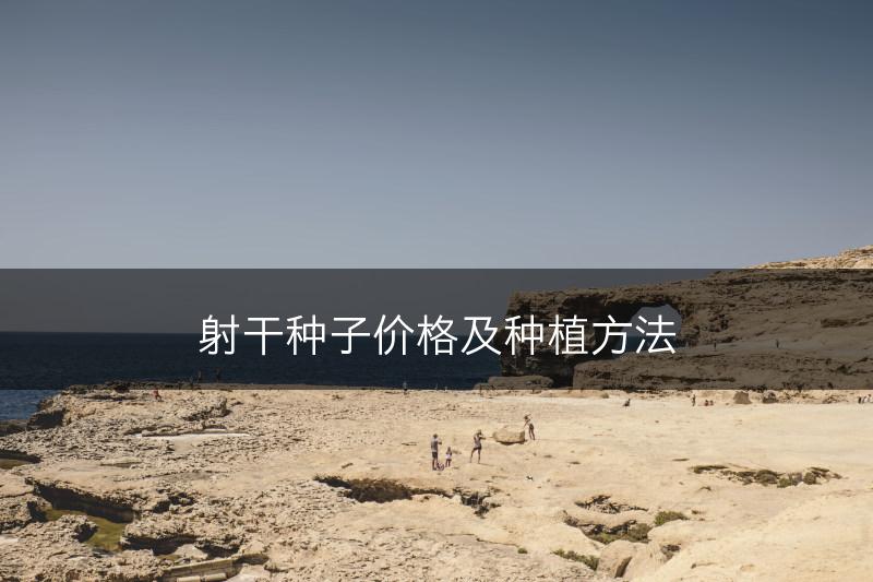 射干种子价格及种植方法(图1)