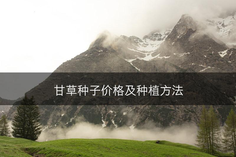 甘草种子价格及种植方法(图1)