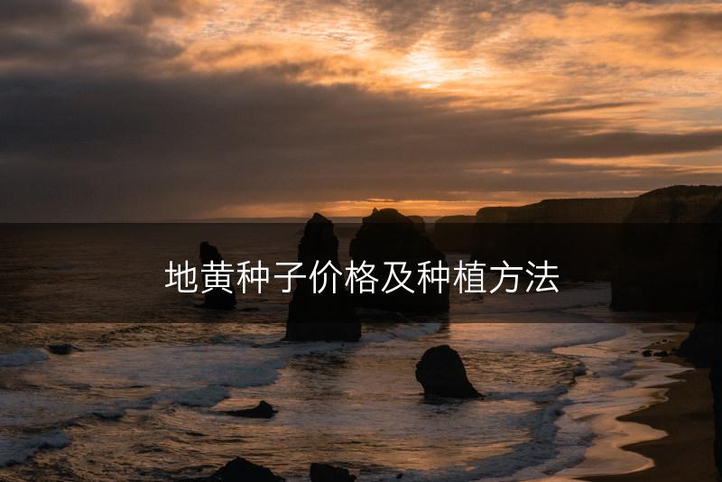 地黄种子价格及种植方法(图1)