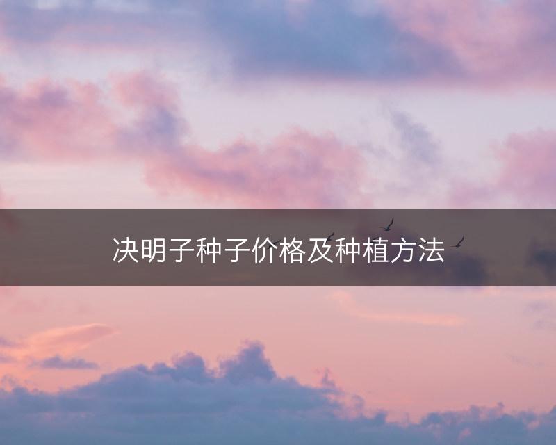 决明子种子价格及种植方法(图1)
