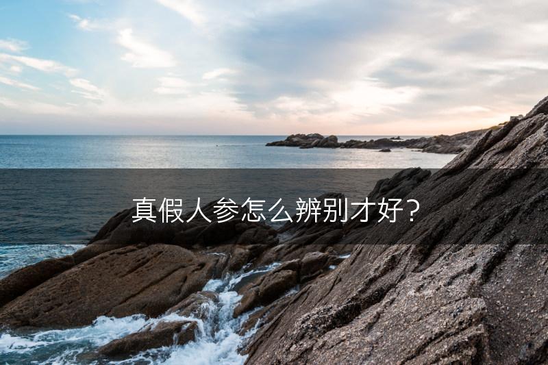 真假人参怎么辨别才好？(图1)