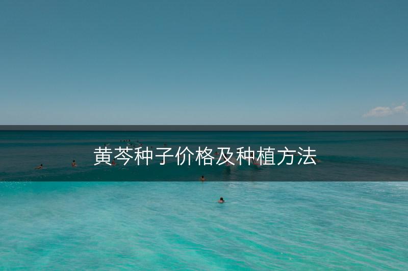 黄芩种子价格及种植方法(图1)