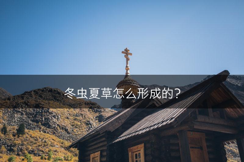 冬虫夏草怎么形成的？(图1)