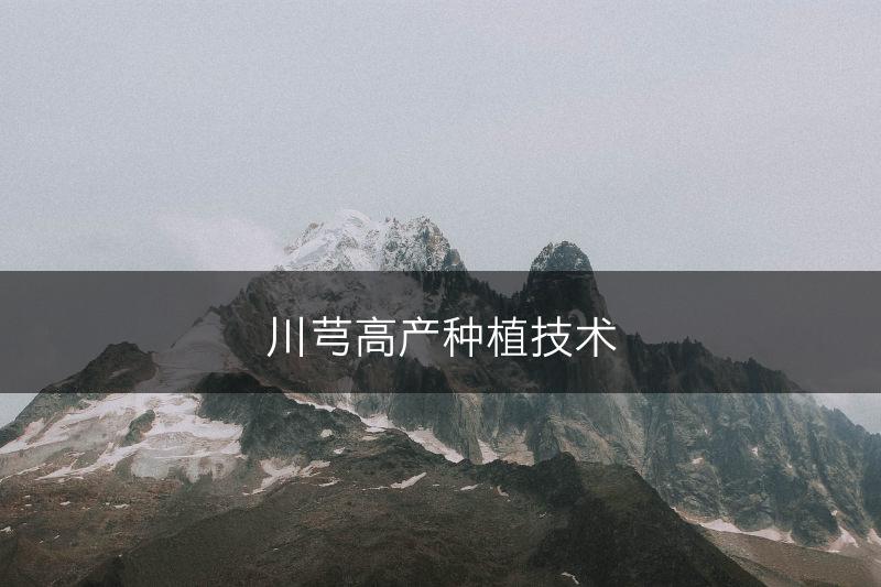 川芎高产种植技术(图1)