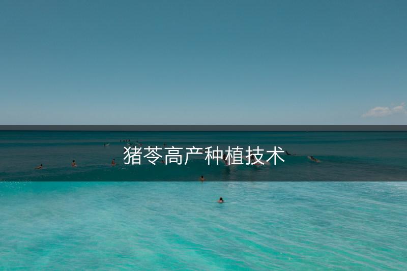 猪苓高产种植技术(图1)