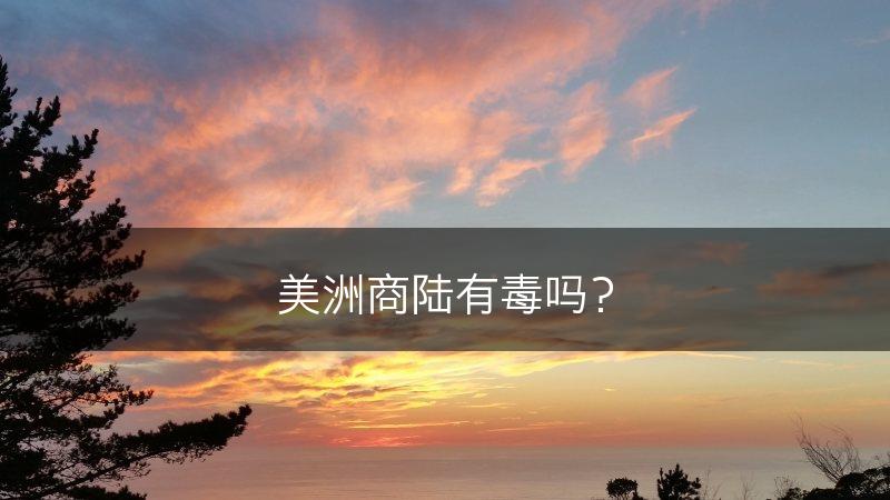 美洲商陆有毒吗？(图1)