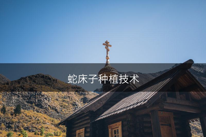 蛇床子种植技术(图1)