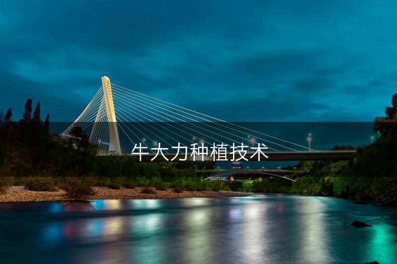 牛大力种植技术(图1)